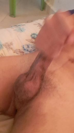 I&#039;m looking for a bottom to suck my dick
