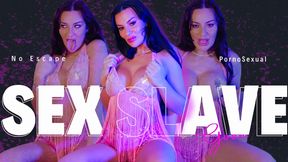 SeX Slave