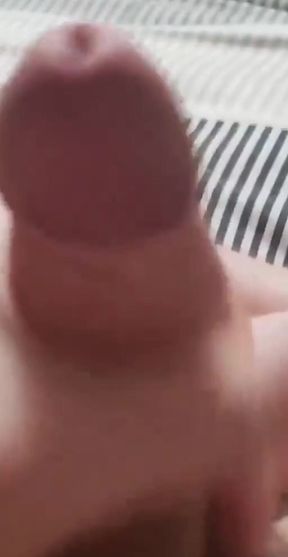 23698