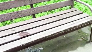 PISSING COMPILATION. PEE INSIDE OUTDOOR having fun. Peeing Public.