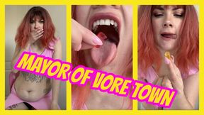 Mayor Of Vore Town mp4