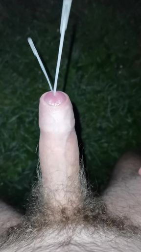 13 big shoots