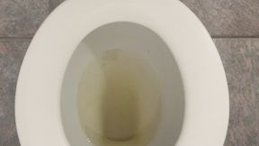 I PEE GOLD INTO MY TOILET
