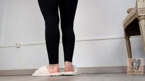 (551) Shoe Collection: Fluffy House Slippers - Dame Olga (1080p, MP4)