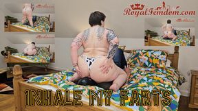 Thank You For Farts Goddess