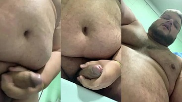 oso lechero