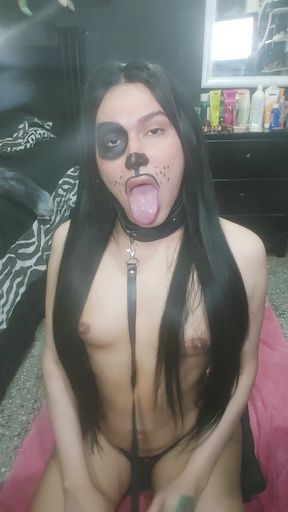 Custom Videos