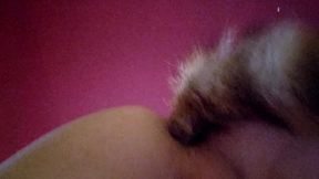 Joslin Shaking Anal Tail Plug