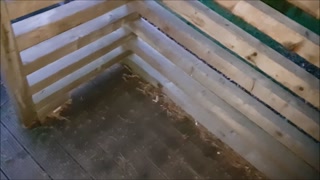 Outdoor Fucking &amp; Gargling