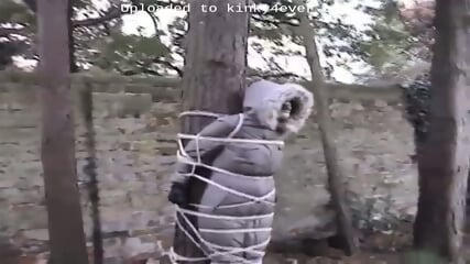 Tree Bound