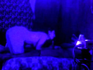 I like to gulp my brother-in-law's ramrod at night.