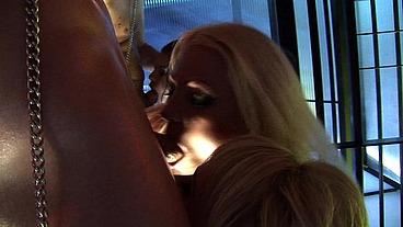 Getting down on her knees is all this horny lady wants to do, and there's plenty of pussy...