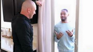 My brand new neighbour