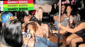 Sexy Party Bus