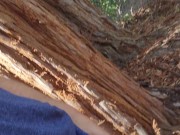 Trail jerk teaser