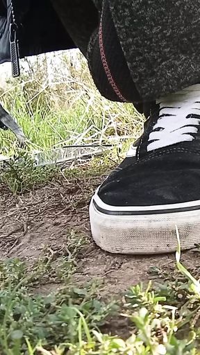 Komp. of My Play with Me Vans Shoes