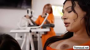 New inmate babe fucked by cellmate and jail guard