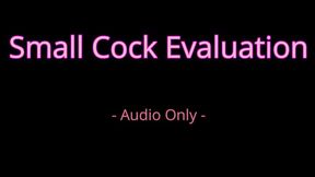 Small cock evaluation - Audio Only MP4