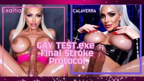 GAY TEST.exe.  Final Stroke Protocol.