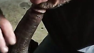 Granddad Deep throats My Bi-racial Knob (No Jizm)