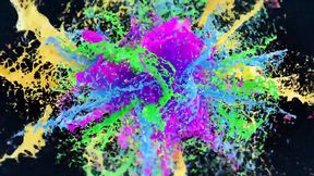 Jenny Hardt 3 Holes Blank