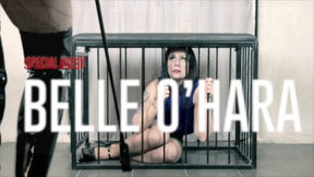 PHOENIX'S PRISON: BAD SECRETARY