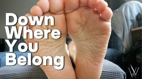 Down Where You Belong