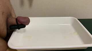 Large man masturbating with vibrating eggs and ejaculating and urinating