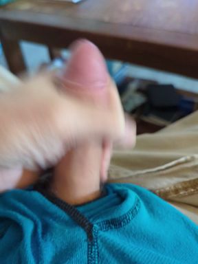 Handjob with cat