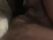 J’aime tellement jouer avec ma grosse chatte