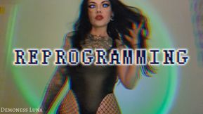 REPROGRAMMING TO FINANCIAL SLAVE