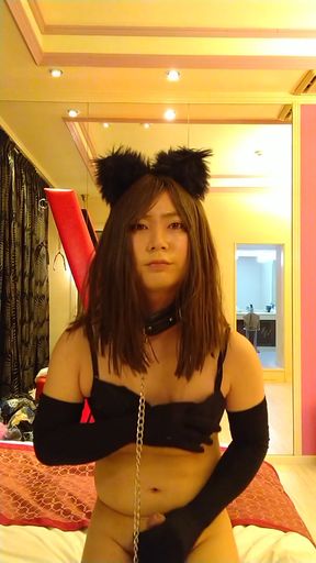 Japanese cd  masturbate costumed sexy cat   Clip 1