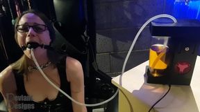 Project Apple Juice - A Fun Feeding Toy - Verified Amateurs