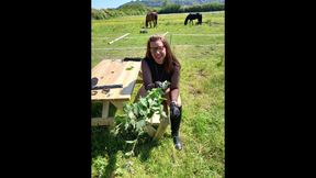 A day of nettles!