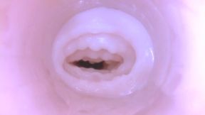 Cum Inside Fake Pussy