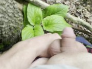 Cute Tiny Dick Pissing in the Woods [Amateur HD POV]