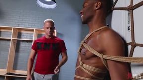 Vas Y Plus Fort Frerot