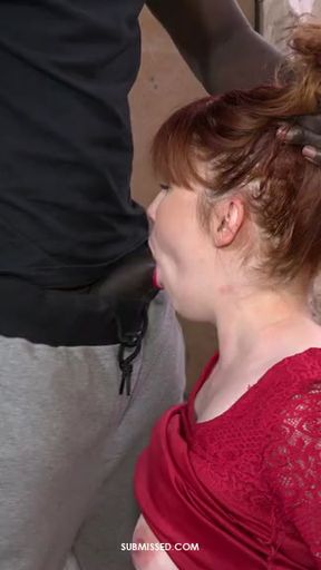 Bbc Submissed Snip
