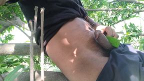 The Boy From the Local Village Goes to the Garden and Climbs on the Ground and Punches Him
