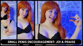 Small Penis Encouragement: JOI & Praise