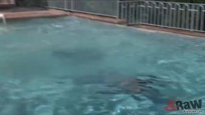 Pool delight