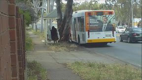 Curvy SSBBW picked up at bus stop for hot anal action