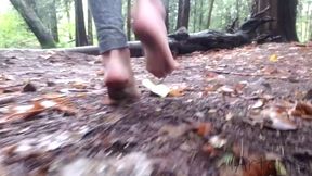 Forest Feet