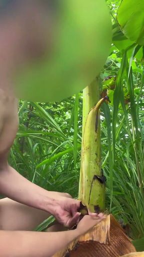 Thai guy fuck banana tree 2   Clip 1