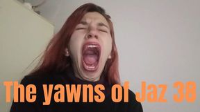 The yawns of Jaz 38