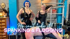 He Can’t Take It – Miss Lilly & Sir Claire Black Spanking and Flogging Discipline. Corporal Punishment Session