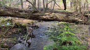 cruising for girlcock in the woods pov