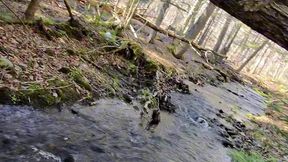 cruising for girlcock in the woods pov
