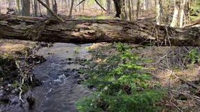 cruising for girlcock in the woods pov