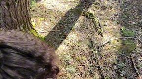 cruising for girlcock in the woods pov